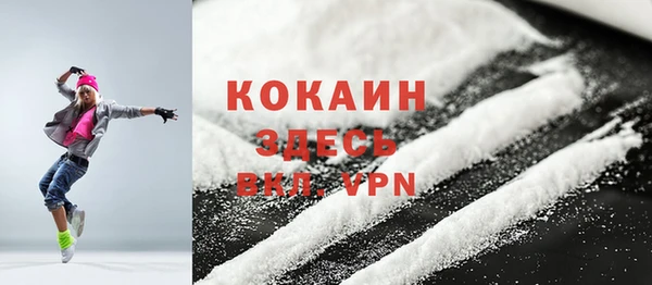 дмт Пересвет