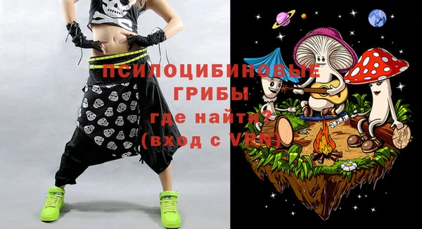 дмт Пересвет