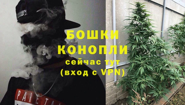 дмт Пересвет