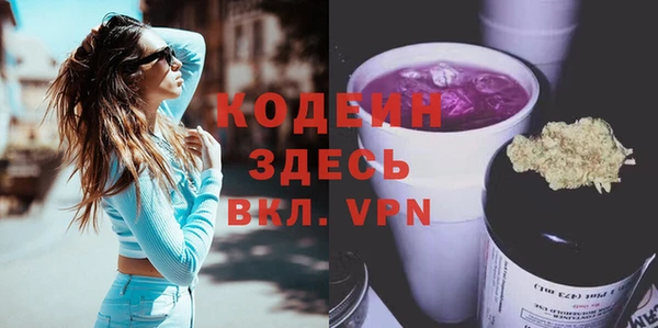 дмт Пересвет