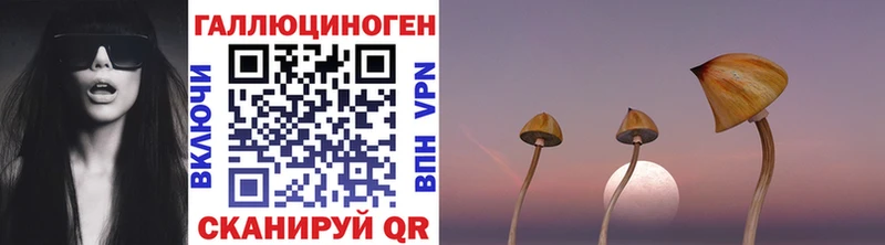 Псилоцибиновые грибы Psilocybe Сосновоборск